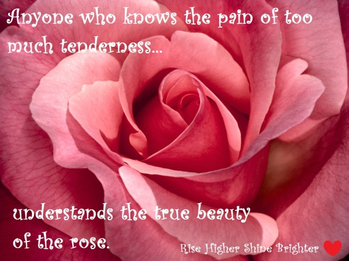 too much tenderness rose